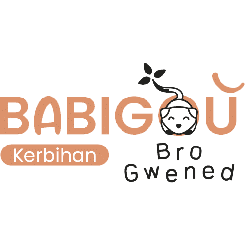 Création de logo à Vannes 3 creation logo vannes babigou